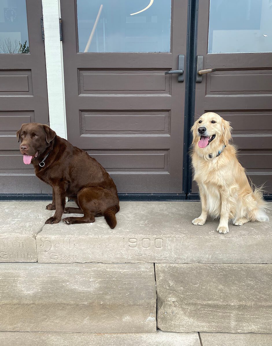 Two of the goodest girls sitting on the office steps.
